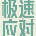 极速应对-电子书(txt-pdf-epub-mobi)-网盘-下载