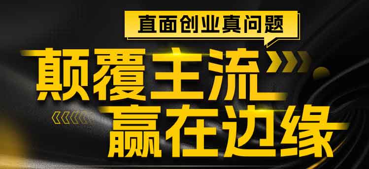 颠覆主流，赢在边缘：如何用错位竞争找到创业蓝海-网盘-下载